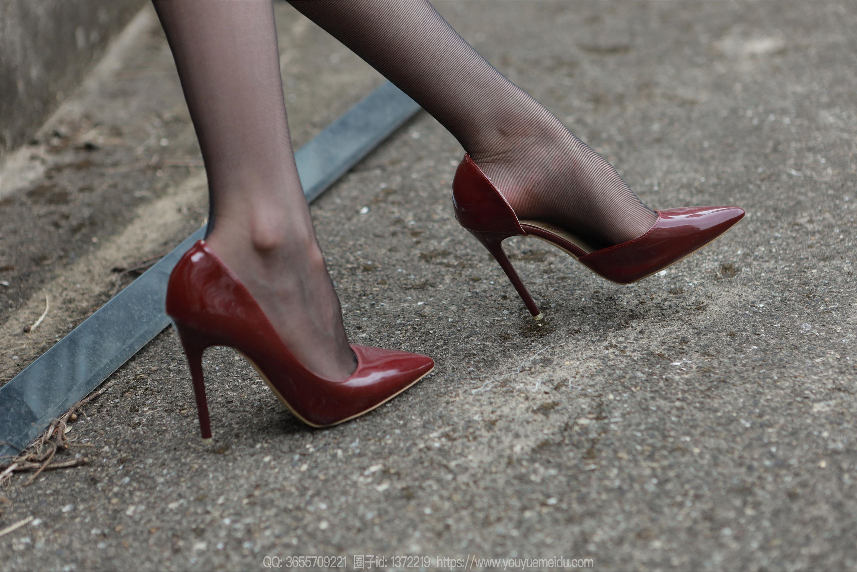 IESS异思趣向  2025.01.29 丝享家 1963 团团《恭喜发财（下）春节快乐》